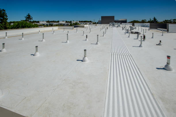 Best Sheet Metal Roofing  in Lucasville, OH